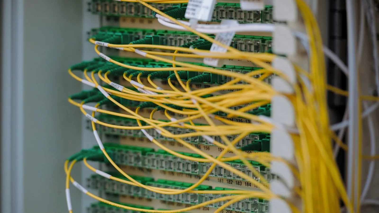 Yellow fibre optic cables connected to a numbered patch panel